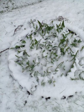 ��������, ����� ��������