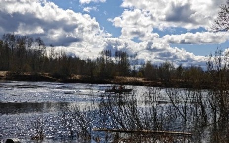 41-������ ������� ������ ��� ����� ����� �� �� ���� � ����������� ������