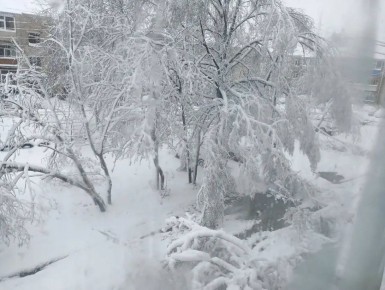 ������� ���������: ������ ���������:. ���������� ������� �������, ������ ����! ���������� �������� � ����������������� � ������