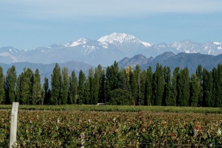 ������ ������ ��� ���: ���������� ����������� ��� ������ ���������� ����������� � 2026