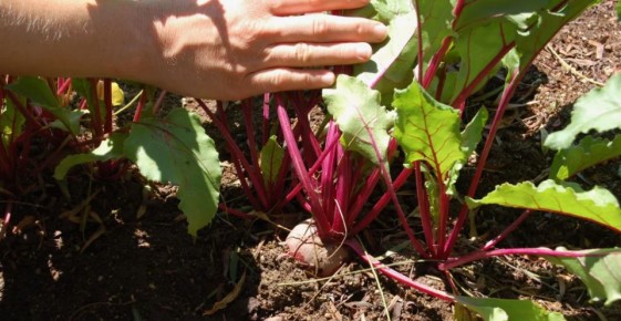 ��� �������� ������� � ������� ������: ������ �� ����� � ����