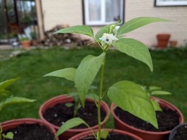 ��������� ���� � ��������� ����������� ������������ ������