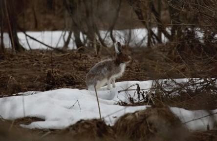 ����-����� ������� ��������� � ����, ����� ���� �����