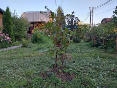 ����������� �������: ��� ������� �������� ������������ � ������� ������ �����