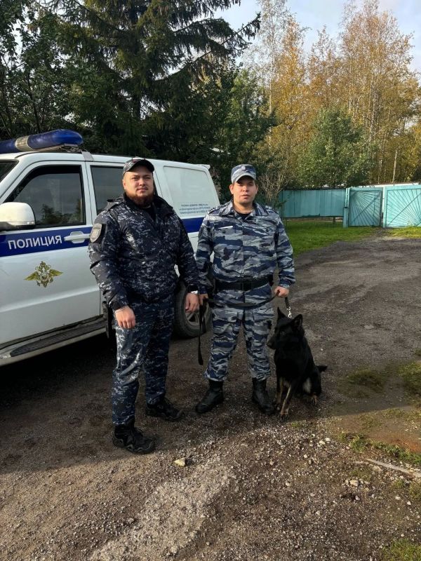 В Череповце сотрудники ЦКС нашли двух девочек-подростков