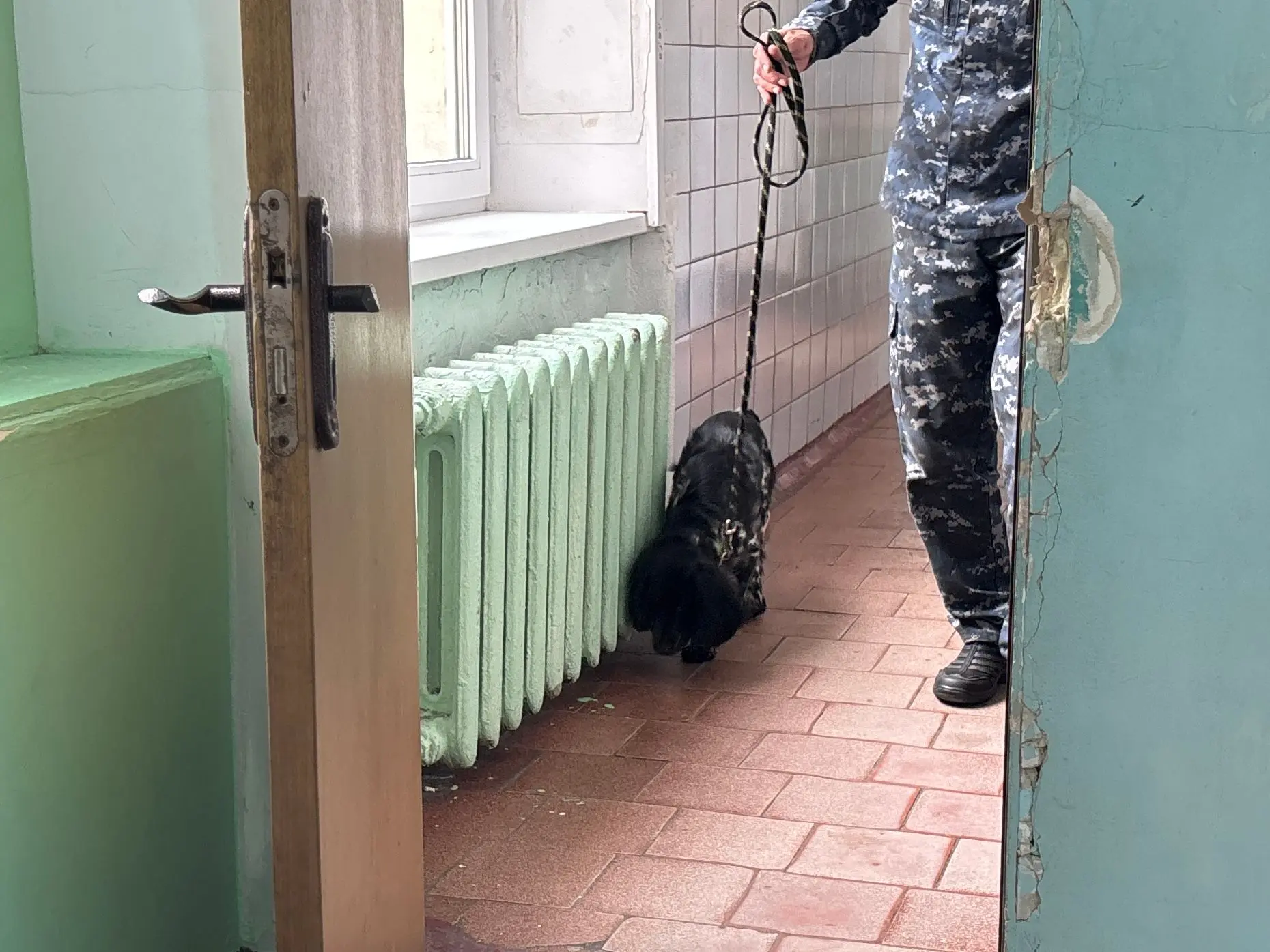 В Череповце полицейские провели профилактические рейды в образовательных учреждениях В Череповце полицейские провели профилактические рейды в образовательных учреждениях