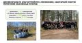 Замгубернатора Антон Стрижов доложил губернатору Георгию Филимонову о ходе двухмесячника по благоустройству, озеленению и санитарной очистке территорий населённых пунктов