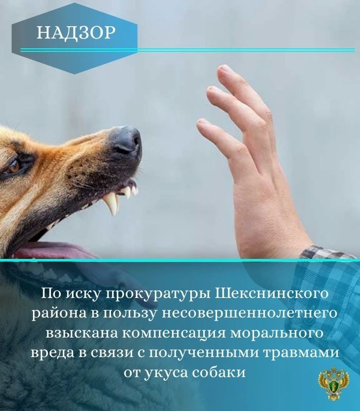Прокуратура Шекснинского района провела проверку соблюдения законодательства, регулирующего ответственное обращение с животными