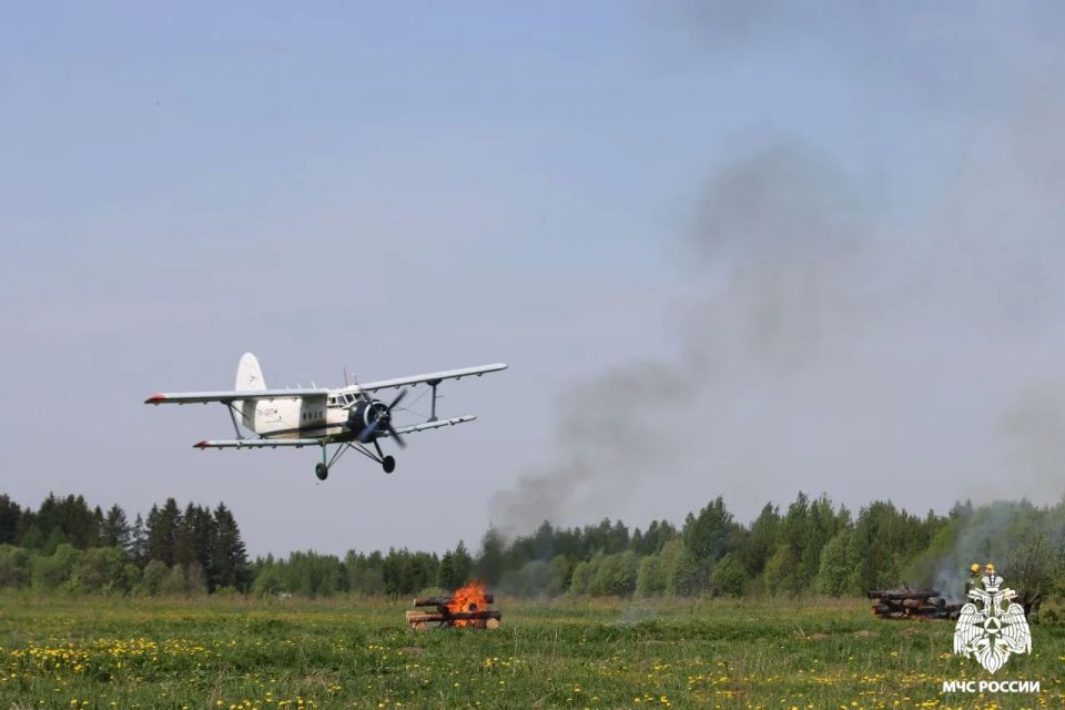 Масштабную тренировку по тушению природных пожаров провели в Вытегорском округе Масштабную тренировку по тушению природных пожаров провели в Вытегорском округе
