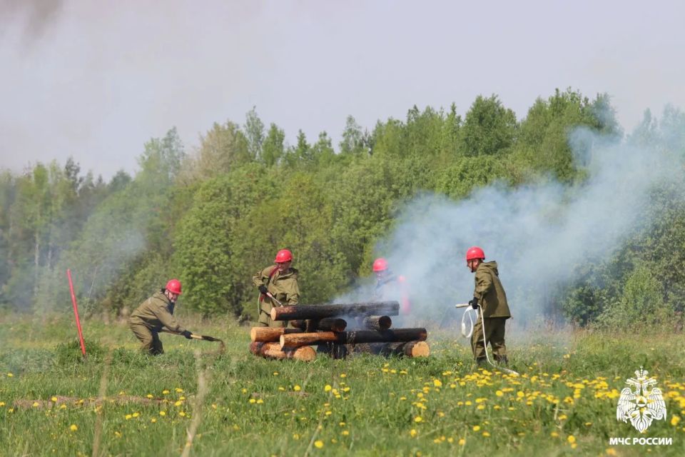 Масштабную тренировку по тушению природных пожаров провели в Вытегорском округе Масштабную тренировку по тушению природных пожаров провели в Вытегорском округе