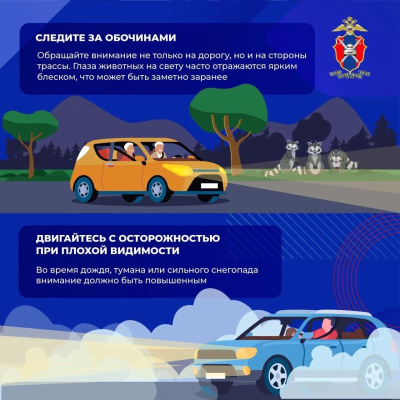 Вологодских автомобилистов предупредили о лосях на дорогах в жару Вологодских автомобилистов предупредили о лосях на дорогах в жару