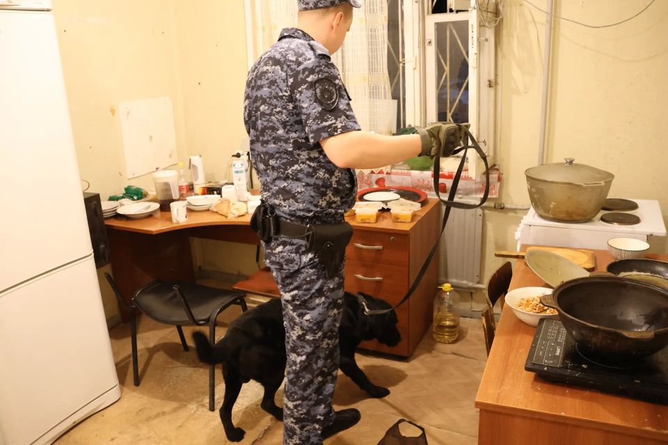 В Череповце правоохранители продолжают проверять соблюдение миграционного законодательства иностранными гражданами В Череповце правоохранители продолжают проверять соблюдение миграционного законодательства иностранными гражданами