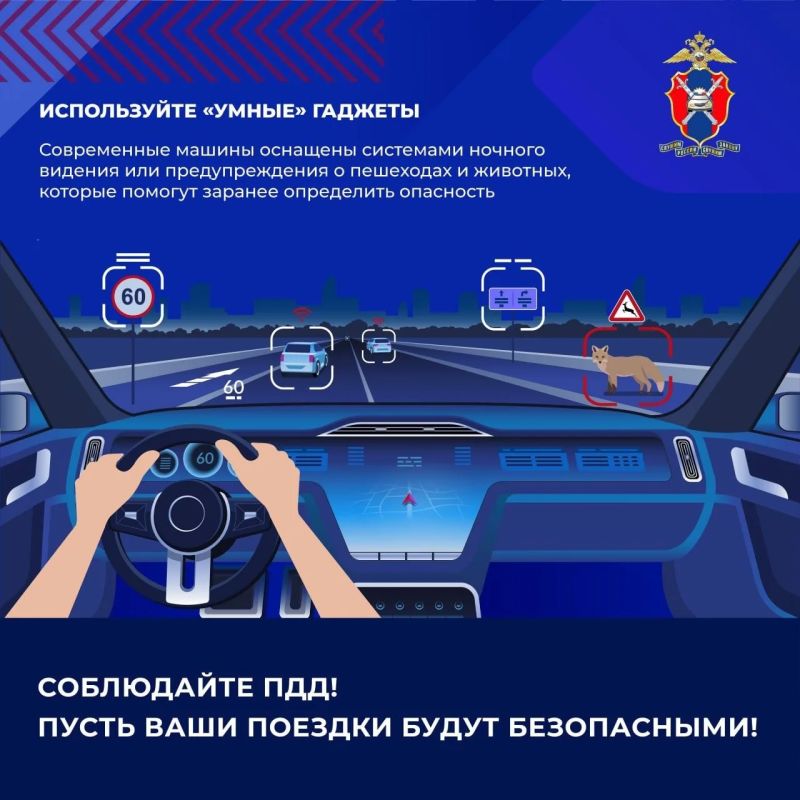 Вологодских автомобилистов предупредили о лосях на дорогах в жару Вологодских автомобилистов предупредили о лосях на дорогах в жару