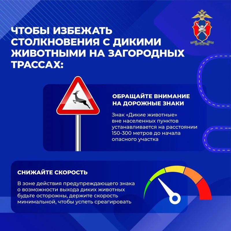 Вологодских автомобилистов предупредили о лосях на дорогах в жару Вологодских автомобилистов предупредили о лосях на дорогах в жару