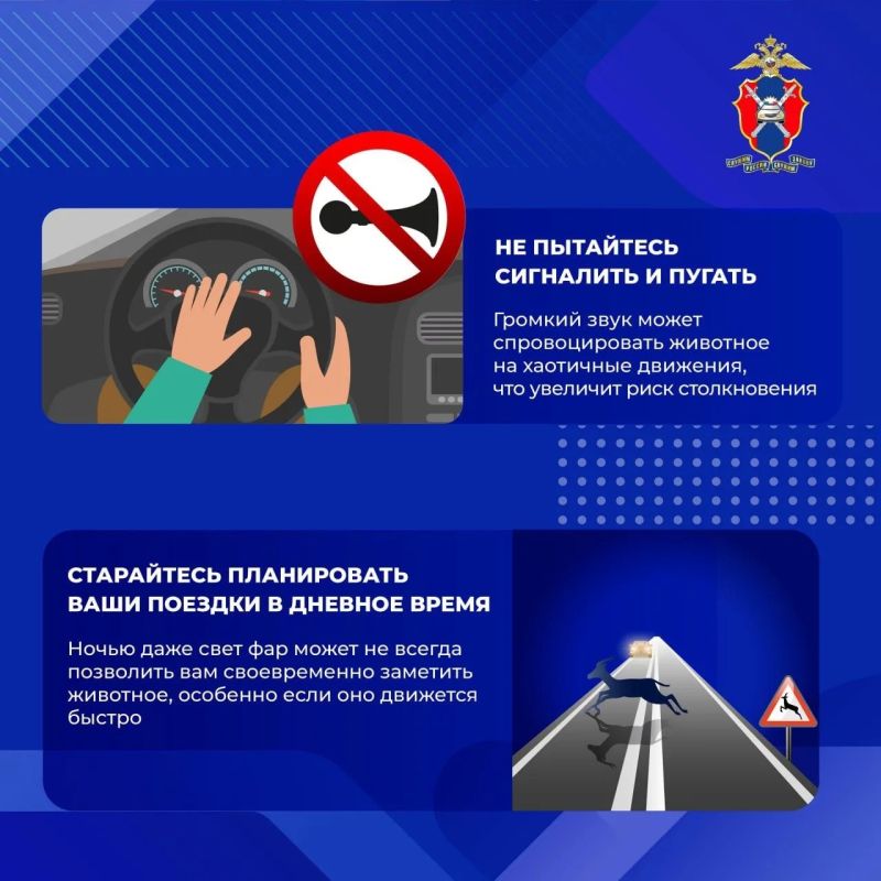 Вологодских автомобилистов предупредили о лосях на дорогах в жару Вологодских автомобилистов предупредили о лосях на дорогах в жару