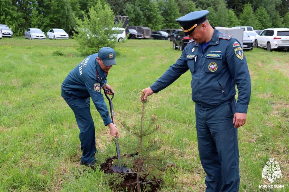 Сотрудники МЧС России пополнили «Сад памяти» Сотрудники МЧС России пополнили «Сад памяти»