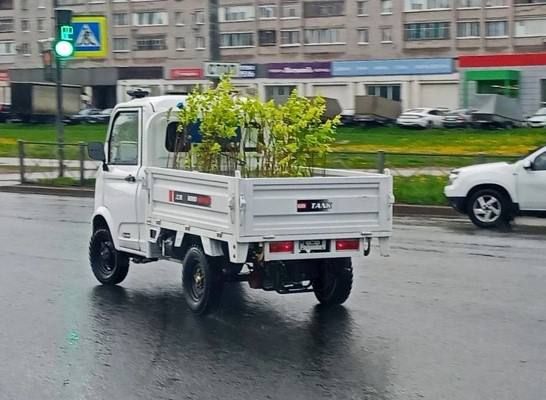 Андрей Накрошаев: Более тысячи деревьев и тысячи кустов посадили в Череповце за весенний период Андрей Накрошаев: Более тысячи деревьев и тысячи кустов посадили в Череповце за весенний период