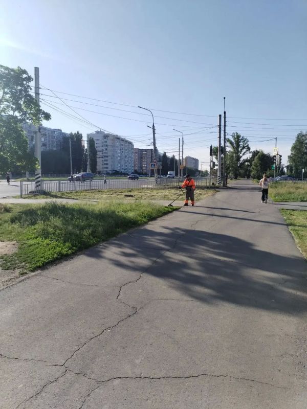Сбор бросового мусора, уборка общественных территорий, очистка дорог Сбор бросового мусора, уборка общественных территорий, очистка дорог