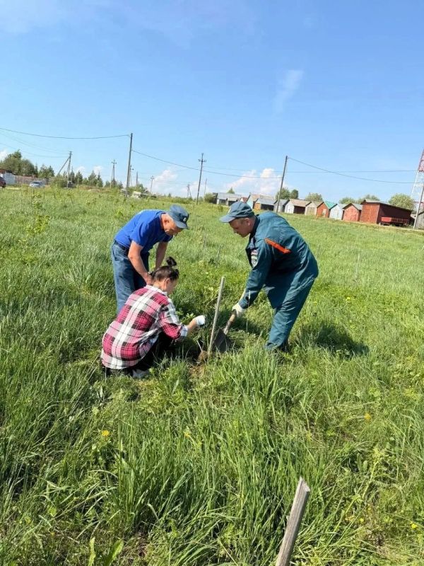 Новые саженцы пополнили «Сад памяти» Новые саженцы пополнили «Сад памяти»