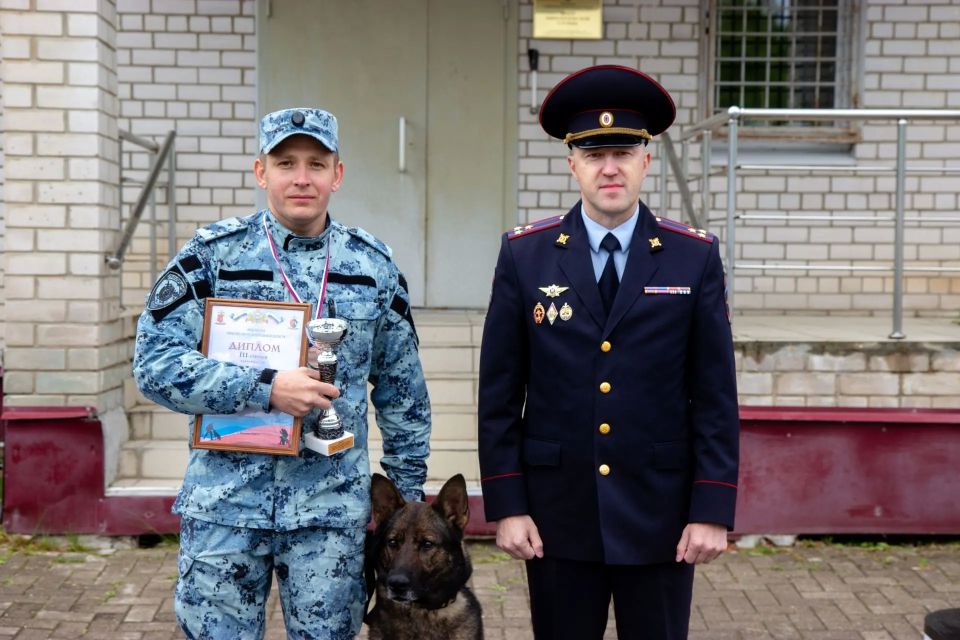 В Вологодской области наградили лучших полицейских-кинологов В Вологодской области наградили лучших полицейских-кинологов