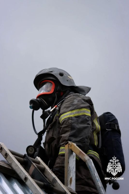 Лучшие газодымозащитники МЧС России поедут в Псков Лучшие газодымозащитники МЧС России поедут в Псков
