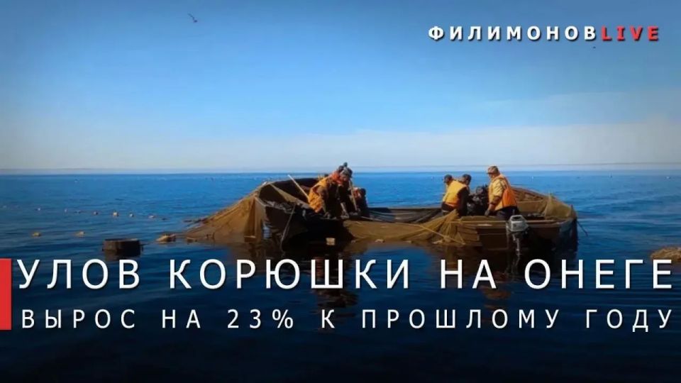 Георгий Филимонов: 92 тонны корюшки добыли вологодские рыбаки на Онежском озере