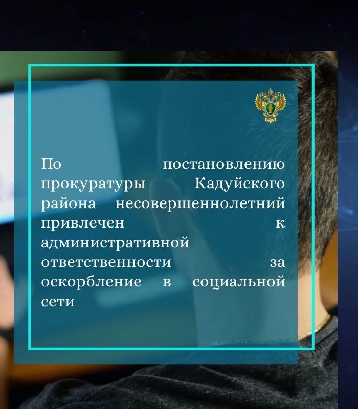 Прокуратура Кадуйского района на основании обращения местного жителя провела проверку по факту высказывания оскорблений