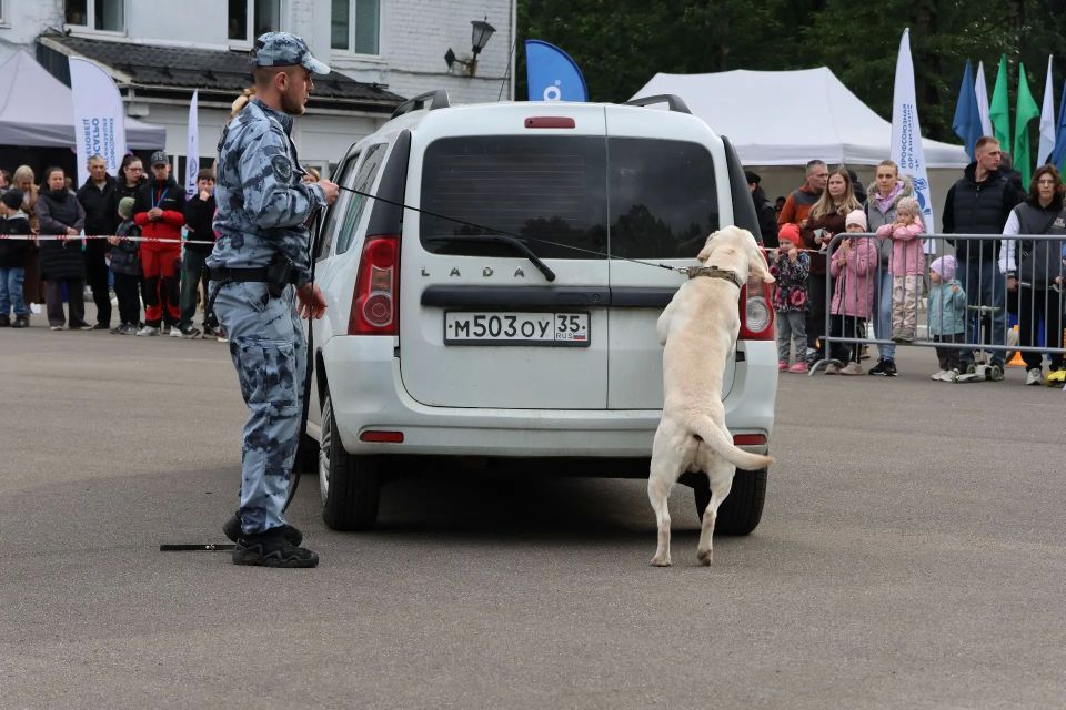 В Череповце сотрудники Центра кинологической службы приняли участие в городском мероприятии В Череповце сотрудники Центра кинологической службы приняли участие в городском мероприятии