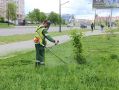 Андрей Накрошаев: Еженедельные итоги работы «Горзеленстроя»
