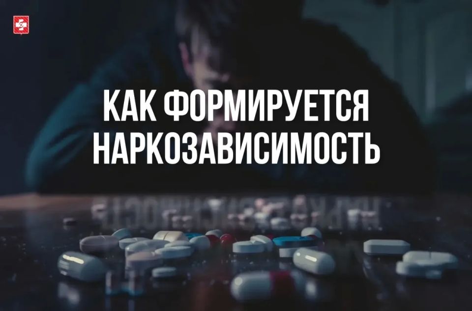 Вологодские доктора рассказали о формировании наркозависимости и путях выхода из нее