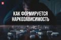 Вологодские доктора рассказали о формировании наркозависимости и путях выхода из нее
