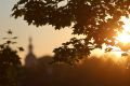 Днём по области +17° +22°, кратковременные дожди, местами (по западу) ливни, грозы