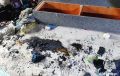 15-летняя череповчанка спасла двоих братьев из горящей квартиры