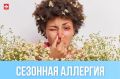 Сезонная аллергия: как распознать поллиноз и пережить период цветения