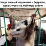 Доброе утро!