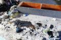 В Череповце 15-летняя школьница спасла младших братьев из загоревшейся квартиры