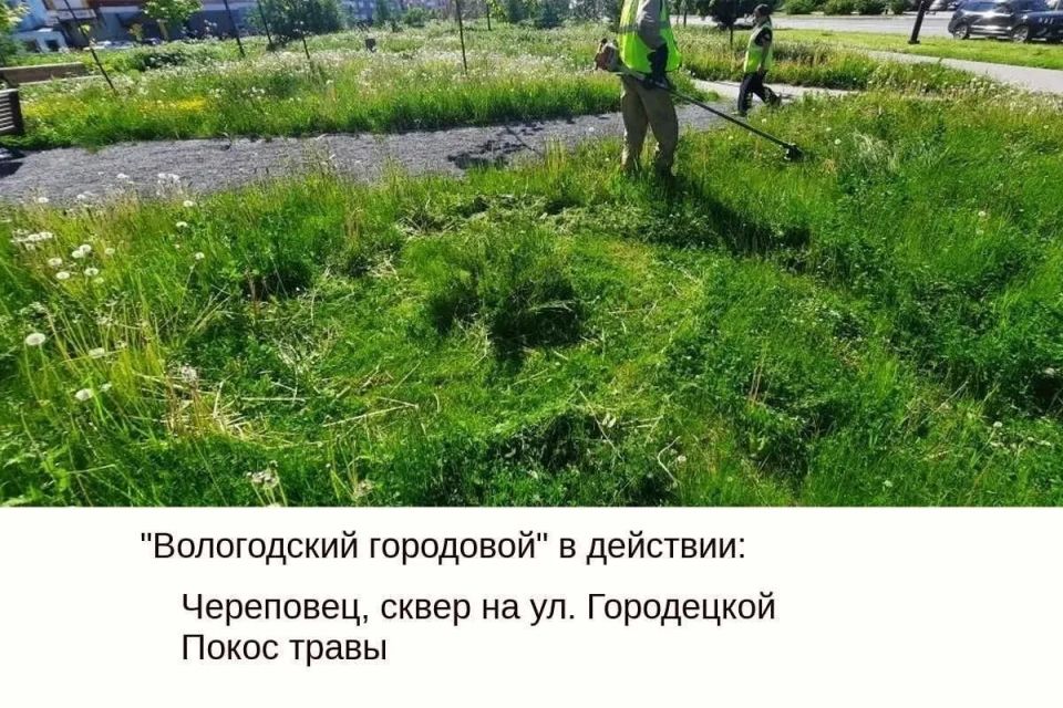«Вологодским городовым» пользуются уже 33,7 тыс «Вологодским городовым» пользуются уже 33,7 тыс