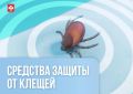 ��� ���������� �� ������?. ������� ������ ������ �� ������ � ���������� ������