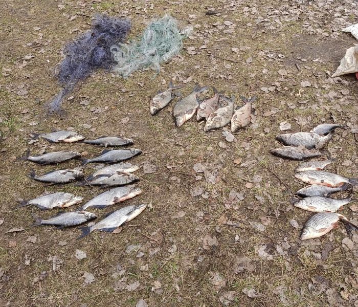 В Вологодской области сотрудники транспортной полиции пресекли незаконный лов рыбы В Вологодской области сотрудники транспортной полиции пресекли незаконный лов рыбы