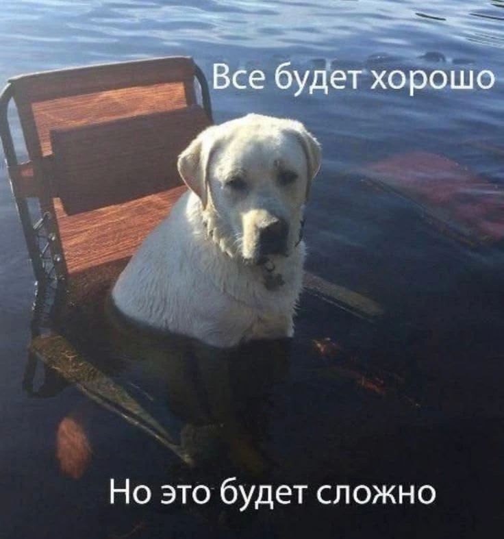 Преображаться Вологодчина не закончит никогда!