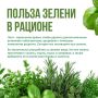 Чем полезна зелень?. Лето — прекрасное время, чтобы позаботиться о своём здоровье, восстановить силы и укрепить иммунитет