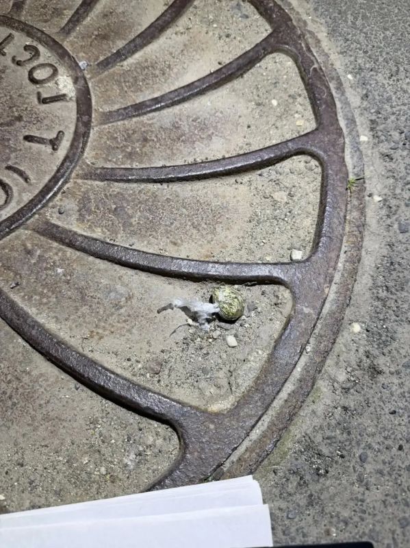 В Вологде сотрудники патрульно-постовой службы задержали подозреваемого в хранении наркотических веществ В Вологде сотрудники патрульно-постовой службы задержали подозреваемого в хранении наркотических веществ