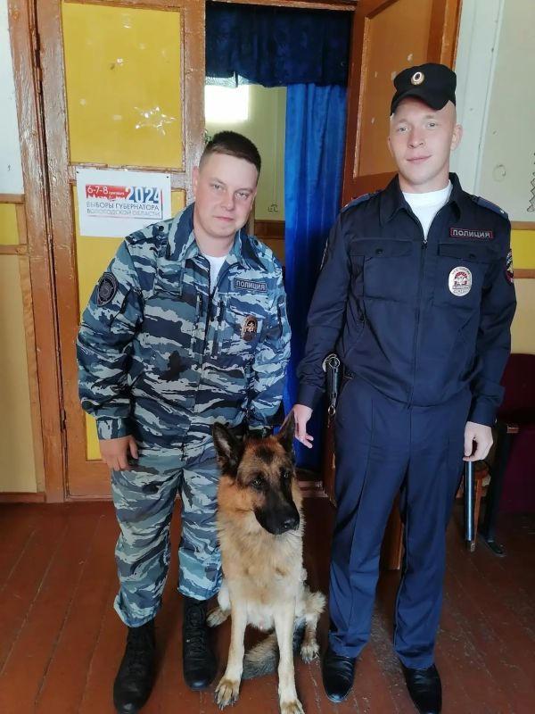 2 июля - Международный день собак 2 июля - Международный день собак