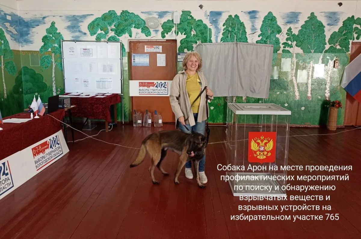 2 июля - Международный день собак 2 июля - Международный день собак