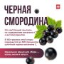 Выбираем полезные сезонные ягоды