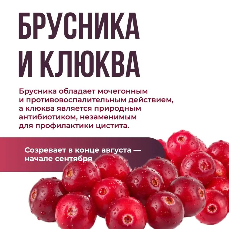 Выбираем полезные сезонные ягоды Выбираем полезные сезонные ягоды