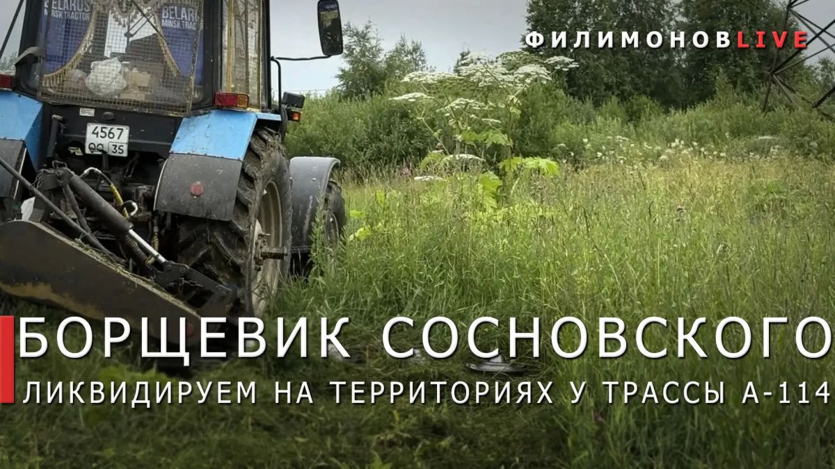 Георгий Филимонов: Борьба с борщевиком Сосновского в муниципалитетах Вологодской области продолжается