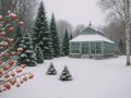 Как теннисный мяч помогает птицам пережить зимние морозы