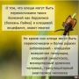 В чем и где лучше гулять, чтобы не «нагулять» клеща