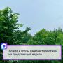 Сегодня регион останется под влиянием циклона